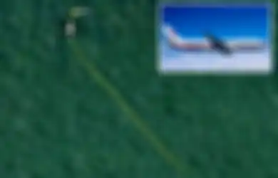 Hilang Sejak 2014, Pesawat MH370 Malaysia Airlines Terekam Google Maps di Tengah Hutan Belantara Kamboja