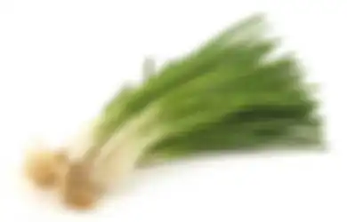 Sering Digunakan Sebagai Pelengkap Masakan, Begini 4 Cara Simpan Daun Bawang Agar Tetap Segar dan Tidak Lembek, Coba Yuk!