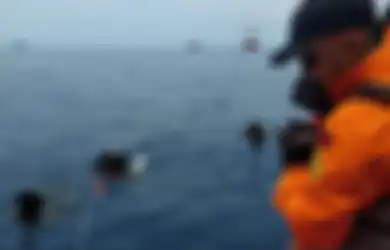 Jatuhnya Lion Air JT610, Basarnas: Ini Keajaiban Kalau Ada yang Hidup