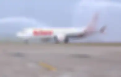 Membelinya dengan Harga Rp1,77 Triliun, Lion Air Grup Pertama di Dunia yang  Gunakan Boeing 737 Max 8