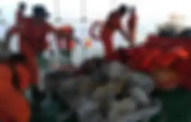 Jenazah dan Potongan Tubuh Penumpang Pesawat Lion Air JT610 Sudah Mulai Ditemukan