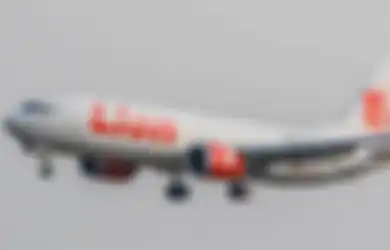 Pesawat Lion Air JT 610 Jatuh di Laut Jawa: Berapa Lama Proses Pembusukan Jasad di Air?