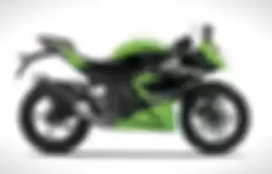 Kawasaki Ninja 250 RR Mono