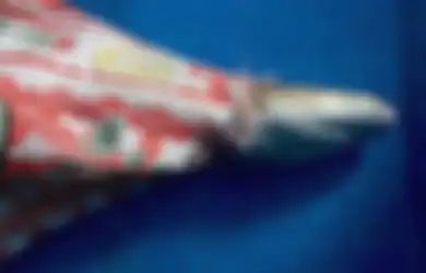 Menyedihkan, Bayi Hiu Mungil Ini Ditemukan Tak Bernyawa dalam Karung Beras Bekas yang Terombang-ambing di Lautan