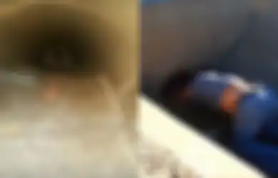 Seekor Anjing Menggonggong di Saluran Pembuangan dengan 'Ganjil', Ketika Seseorang Memeriksa Dia Terkejut Bukan Main!