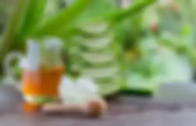 Punya Masalah Perut Kronis? Cobalah Campuran Lidah Buaya dan Madu, Lalu Rasakan Manfaatnya