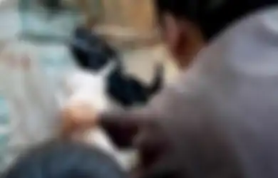 Kambingnya Lahirkan Makhluk 'Setengah Babi Setengah Manusia', Petani Ini Takut Akan Jadi Kutukan