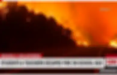 Momen Menegangkan Ketika Sopir Bus Selamatkan 22 Anak dan 2 Guru dari Kebakaran Hutan