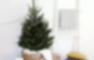 7 Ide meletakkan pohon natal di ruangan sempit