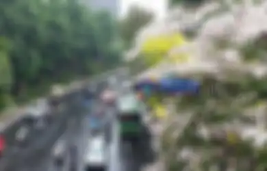 Tak Sekadar Cantik, Bunga Tabebuya yang Bikin Kota Surabaya jadi 'Romantis' Juga Bermanfaat untuk Penderita AIDS
