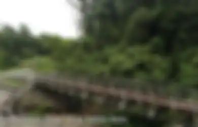 Kronologi Pembantaian 31 Pekerja PT Iskara di Trans Papua Oleh OPM, Jenazah Belum Bisa Diambil