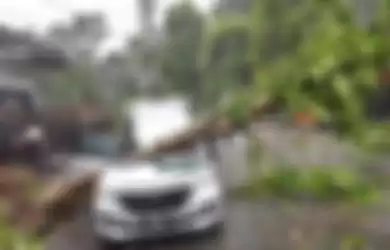 Tragedi korban tewas tertimpa pohon tumbang akibat angin puting beliung melanda Bogor. (Kompas.com)