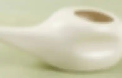 Bilas Hidung dengan Air Keran Menggunakan Neti Pot, Seorang Wanita Tewas karena 'Amoeba Pemakan Otak'