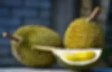 155 warga Malaysia jadi korban penipuan investasi durian musang king