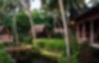 Pemandangan alam pedesaan yang ada di Hotel Bali Indah