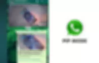 Fitur PiP di WhatsApp