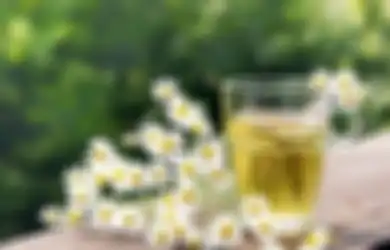 Herbal Antihistamin Alami Sebagai Obat Biduran Tradisional yang Ampuh