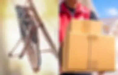 Membeli Jangkrik Melalui Online, Hal Mengejutkan Terjadi Setelah Paketannya Dibuka