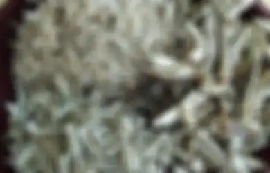 Coba Saja Konsumsi Ikan Teri untuk Kurangi Risiko Penyakit Mematikan Ini, Ampuh!