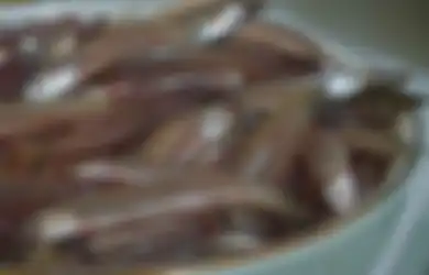 Harganya Murah Meriah, Ternyata Ikan Teri Masuk Dalam Daftar 5 Makanan Pendongkrak Kecerdasan Otak Lho