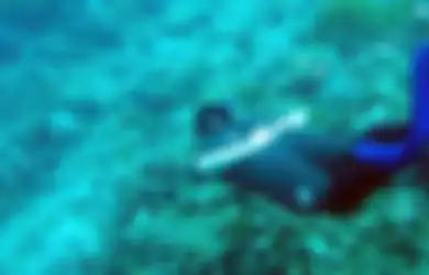 Bunaken, Keindahan Nan Memabukkan di Bawah Laut