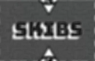 Skibs