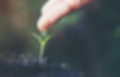 Siapa yang Menanam Kejujuran, Ia Akan Menuai Kepercayaan