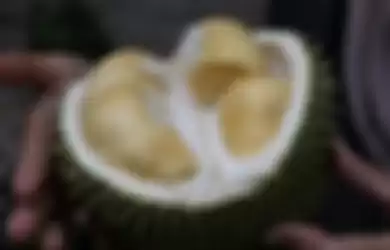 Durian 