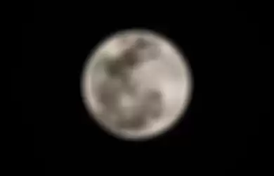Gerhana bulan istimewa yang dinamakan Super Blood Wolf Moon mulai tampak sempurna dilihat dari Miami, Florida.