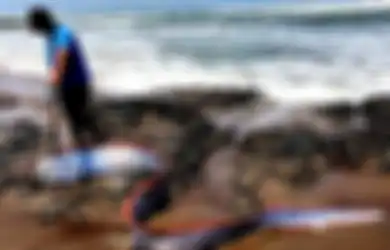 Ikan Ini Muncul Ke Daratan, Penduduk Jepang Khawatir akan Terjadi Gempa dan Tsunami