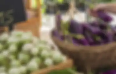 Segudang Manfaat Terung, dari Bikin Kurus Sampai Atasi Asam Urat!