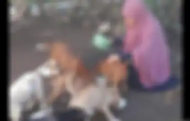 Hari Kasih Sayang: Kisah Desy, Wanita Berhijab Penolong Anjing Liar, Wujud Kasih Sayang untuk Semua Makhluk