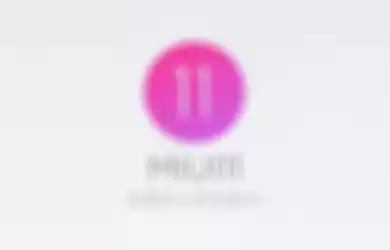 MIUI 11