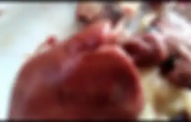 Heboh Hati Ayam Terdapat Tulisan Barkot di Kupang, Bagaimana Mulanya?