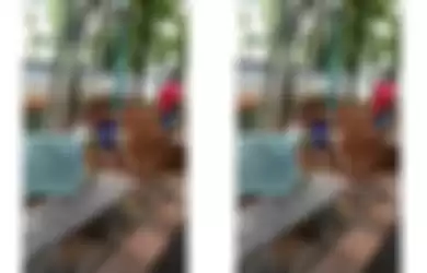 Viral Video Bocah Tersengat Listrik di Kolam Renang, Ini Pertolongan Pertama yang Bisa Dilakukan