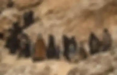 Disebut-sebut Sebagai Orang yang 'Menciptakan' ISIS, Jutaan Warga Irak Tidak Terima Pria Ini Bakal Dapat Gelar Ksatria, 'Sekali Pejahat Selamanya Penjahat'