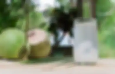 Bisa Langsung Dicoba Sekarang, Inilah Waktu Terbaik Minum Air Kelapa, Tubuh Langsung Bereaksi Seperti Ini, Nyesal Baru Tahu Sekarang!