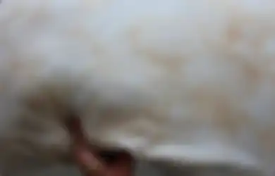 Noda Kuning Muncul di Bantal? Tenang, Begini Cara Mudah Membersihkannya