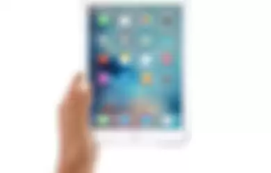 iPad Mini 4