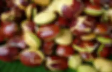Ini Rahasia Ampuh Masak Jengkol Supaya Tidak Bau dan Tetap Nikmat Dikonsumsi