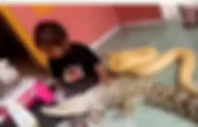 Cerita Gadis 4 Tahun Asal Tanggerang yang Pelihara Buaya, Hingga Sempat Sakit Saat Ditinggal Buayanya Pergi