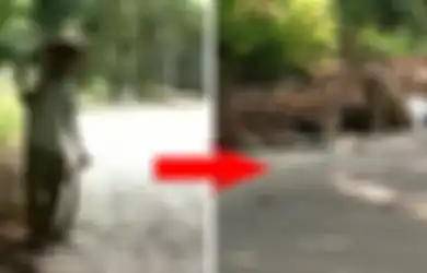 Nekat Pegang Ular King Kobra dengan Tangan Kosong, Beberapa Detik Kemudian Pria Ini Tewas