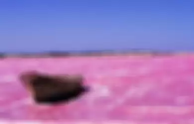 Bukan Kartun, Danau Berwarna Pink Mirip Milkshake Stroberi Ini Benar-benar Ada di Afrika