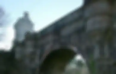 Misteri Jembatan di Mana Ratusan Anjing Bunuh Diri Ini Akhirnya Terpecahkan