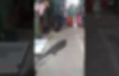 Video penampakan biawak besar di Tambora