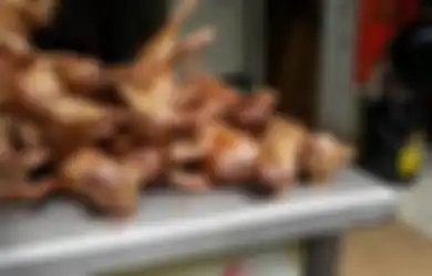 Tak Hanya Daging Tikus, Daging Kucing Juga Jadi Menu Favorit Warga Vietnam
