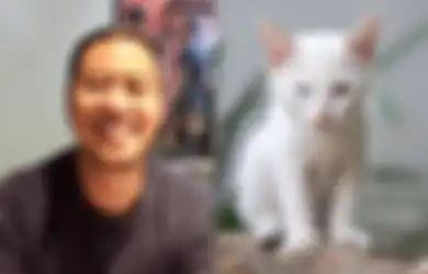 Pandji Sebut Kucing Binatang Gembel: Sejak Kapan Kucing Bersahabat dengan Manusia?