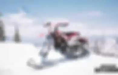 Snow Bike