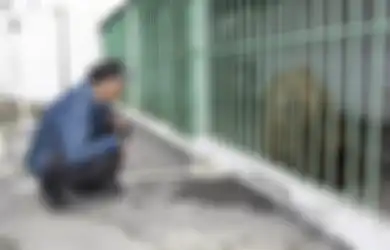 Karena Bersalah, Beruang Ini Dipenjara Seumur Hidup Bersama 730 Penjahat Manusia Berbahaya
