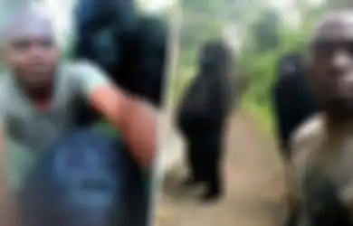 Dikenal Buas, Gorila-gorila Liar Justru Mau Berpose Demi 'Selfie' dengan Orang-orang Luar Biasa Ini, Lucu!